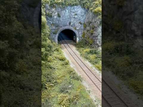 Short/Reel: Faszination Modellbahn Mannheim 2025