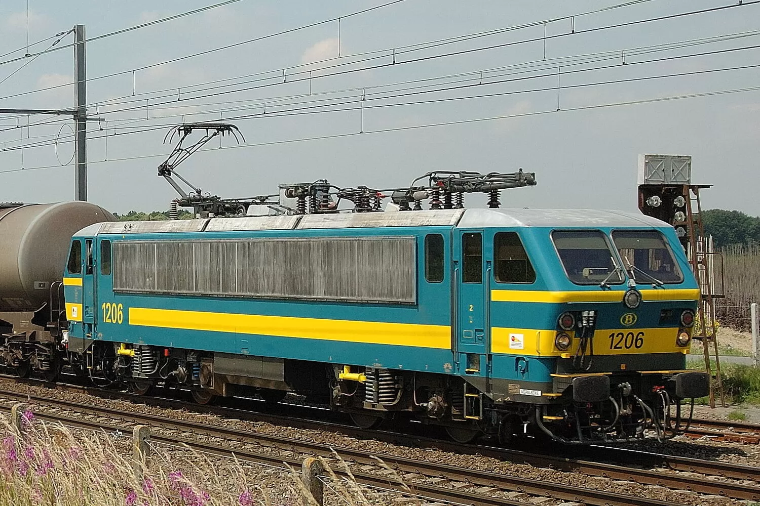 HLE 1206 Schellebelle