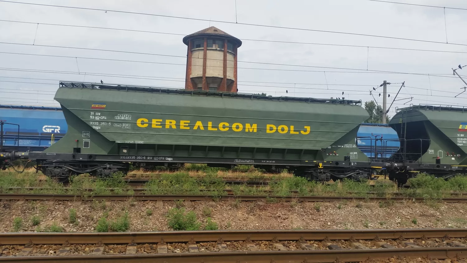 "Cerealcom Dolj" freight wagons