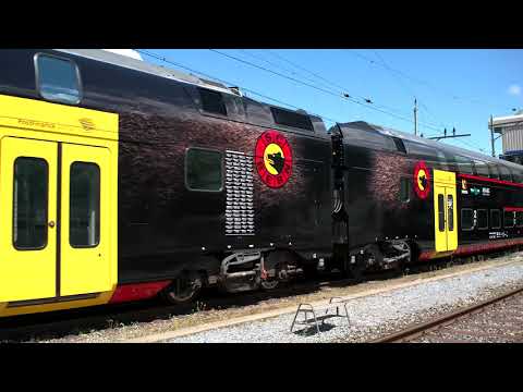 Video: BLS SCB-Mutz