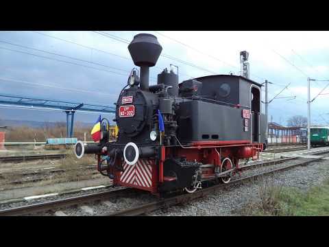 Video: Locomotiva cu Aburi CFF N2 302 Craita